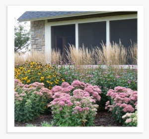 Sustainable Choices - Garden #3646844