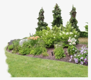 View Examples In Gallery - Delphinium #3646898
