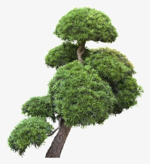 Garden Design Landscape Trees Transparent Decoratives - Garden Trees Png Transparent #3646987