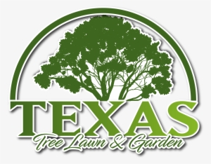 Corpus Christi, Tx Aside From Their Beautiful Value - Texas Tree Lawn & Garden #3647319