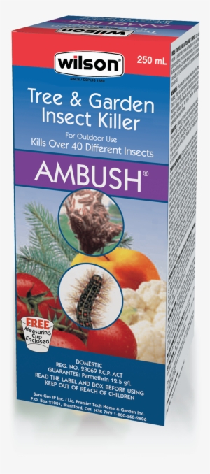 Wilson Ambush #3647840