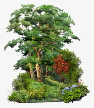 Ftestickers Tree Garden Natürel Branch Flower - Good Morning Today Thought #3647872