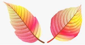 Leaf Png Colour Full #3648102
