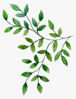 Floral & Hardy - Drink #3648174