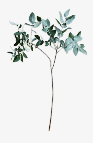 An Online Floral Studio Where You Design And We Deliver - Twig #3648437