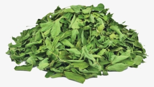 Organic Cassia Leaves - Henna #3648659