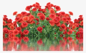 Cafepress ! Samsung Galaxy S8 Case #3649143