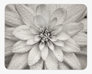 Dahlia Flower Mouse Pad - Dahlia #3649218