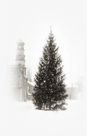 The Dundas Museum And Archives Is Hosting A Christmas - Christmas Tree #3649343