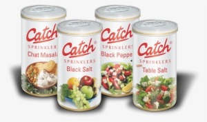 Sprinklers - Catch Sprinklers - Iodized Table Salt, 200g Bottle #3649362