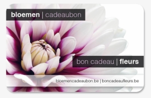 Flower Gift Card Dahlia - Bloemencadeaubon #3649397
