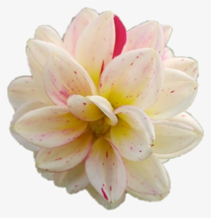 Picsart Photo Studio #3649471