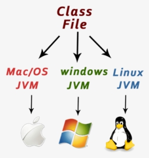 Platform Independent Java - Gangsta Penguin Note Cards (pk Of 20) #3649605