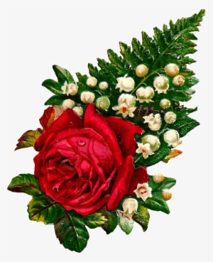 What A Beautiful Digital Red Rose Graphic I Love This - Red Flowers Love Png #3651391