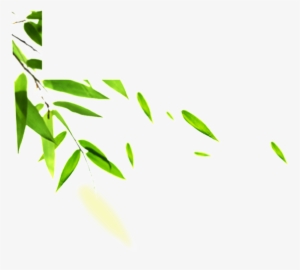 Hand Painted Bamboo Leaves Hd Png #3652753