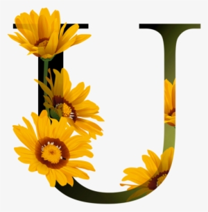 花瓣字母素材 - Letter #3653120