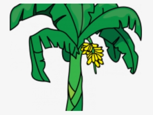 Banana Tree Clipart #3653181 Banana Tree Clipart #3653181