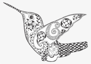 Grey-bird - Black And White Hummingbird Art #3653228