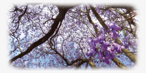Image - Climate #3654064