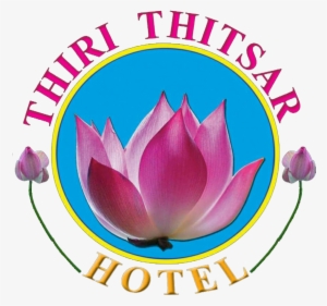 Ordo Supremus Militaris Templi Hierosolymitani #3654106