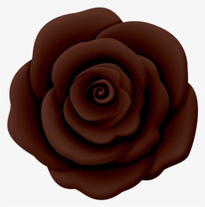 Lyrics, Flowers, Board, Games - Japanese Camellia #3654168