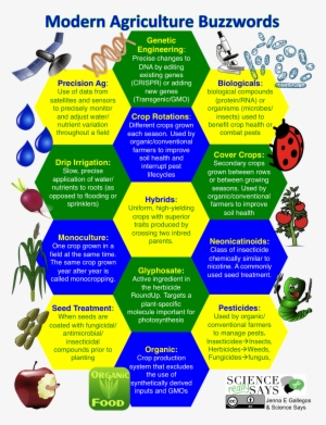 Buzzwords Infographic - Apple With Worm #3654276