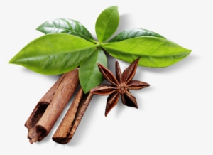 Slider 2 El 1 - Cinnamon Leaves Png #3654438