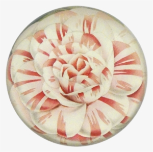 Camellia Japonica Countess Of Derby - Thewatsonshop Flower Cotton Throw Pillow, Green #3654625