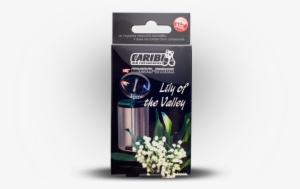 Lily Of The Valley - Balloon Flower #3654682