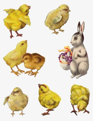 Easter Chicks Bunny Collage Sheet Download - Cardmaking #3655070