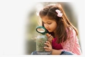 Ramaiah Institute Of Technology #3655124