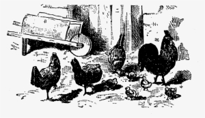 Digital Farm Animal Downloads - Pecking #3655464