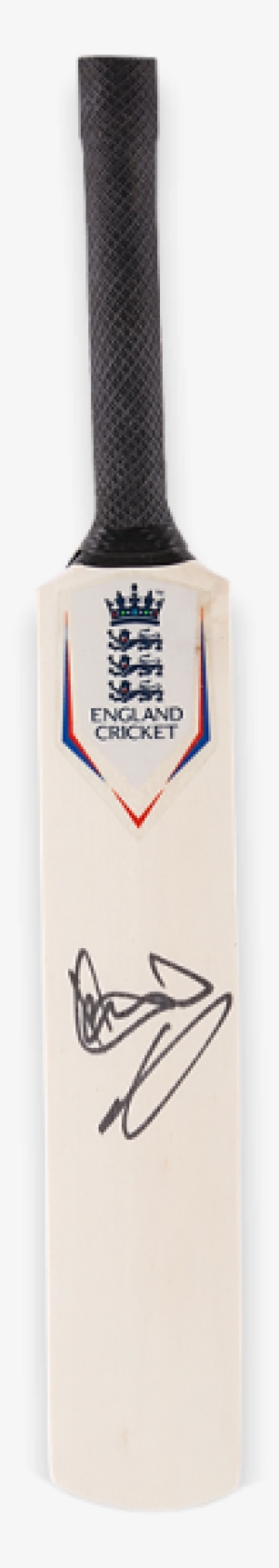 England Cricket Team #3655802