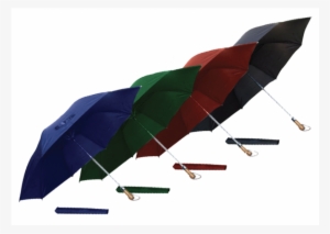 Auto Folding Umbrella - Umbrella #3657112