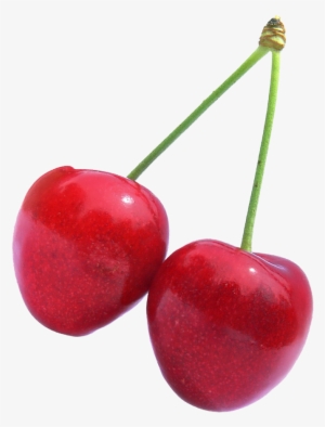 Cherry Fruit - Transparent Cherry #3657328