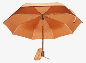 Shangyu Chensheng Umbrella - Umbrella #3657449