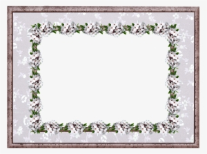 Frame, Border, Daphne, Floral - Picture Frame #3657609