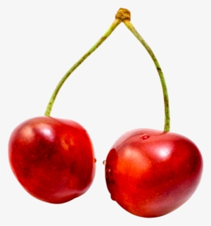 Cherry #3657670 Cherry #3657670