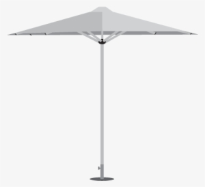 Woodline Swift Woodline Swift - 1a #3657703