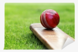 Cricket Is My First Love #3659275