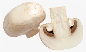 Champignon Png #3659915