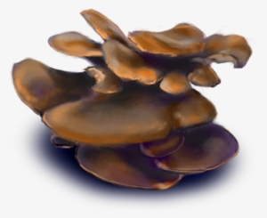 Oyster Mushroom - Figurine #3660301