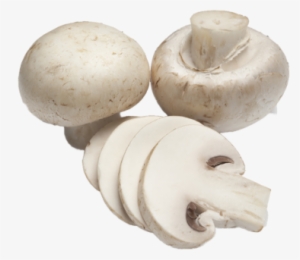 Button Mushroom - Freshly Cut Mushroom #3660330