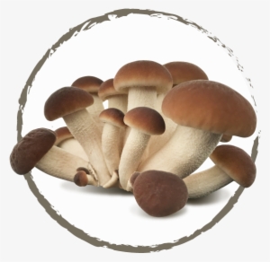 Our Traditional Mushrooms - Woodies - Invitation Save The Date Stamp (set #3660858