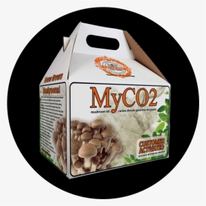 Myco2 Secondary Decomposer Substrate - Dessert #3660907