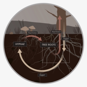 Friends With Benefits - Circle #3661008