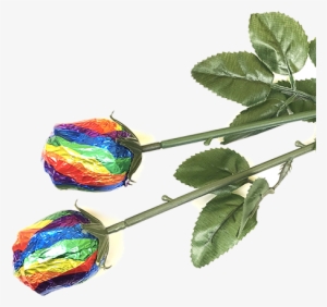 Rainbow Foiled Belgian Chocolate Color Splash Roses - Garden Roses #3661226