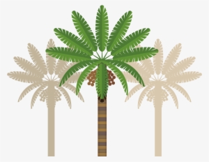 Leaves Clipart Coconut Tree - Abu Dhabi Clip Art #3661306
