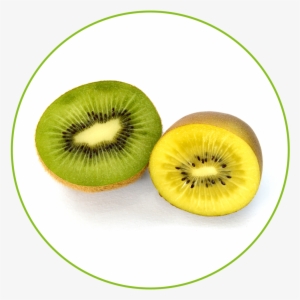 Kiwifruit #3661969