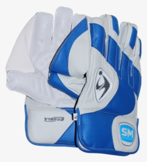 Cricket Wicket Keeping Gloves - Wicket Keeping Gloves Png #3662067